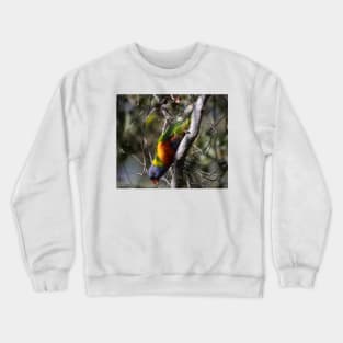 Acrobatics Crewneck Sweatshirt